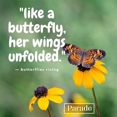 beautiful butterfly quotes about life.